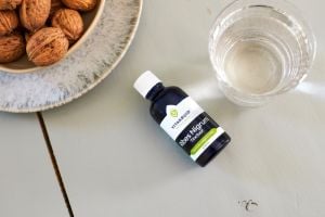 Zwarte bes extract, het paradepaardje onder de bessen