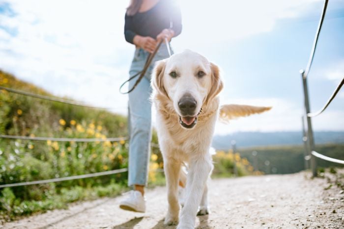 Afvallen door wandelen? Makkelijk afvallen met deze 10 tips