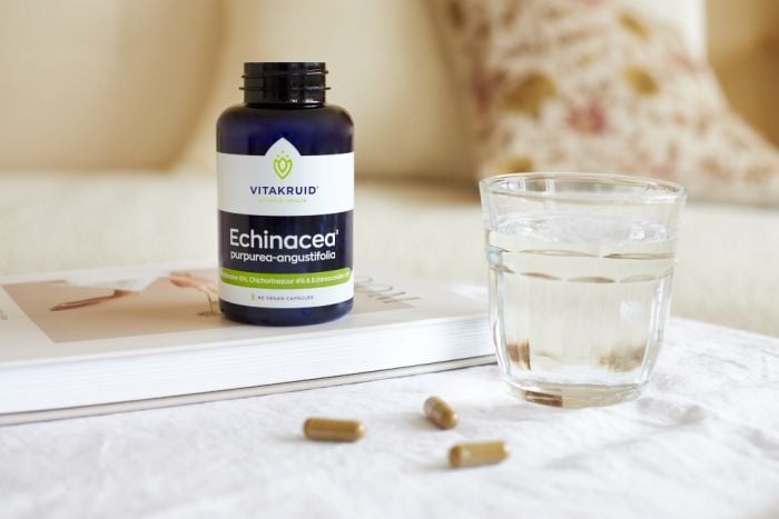 Echinacea purpurea: alles over de werking van de rode zonnehoed
