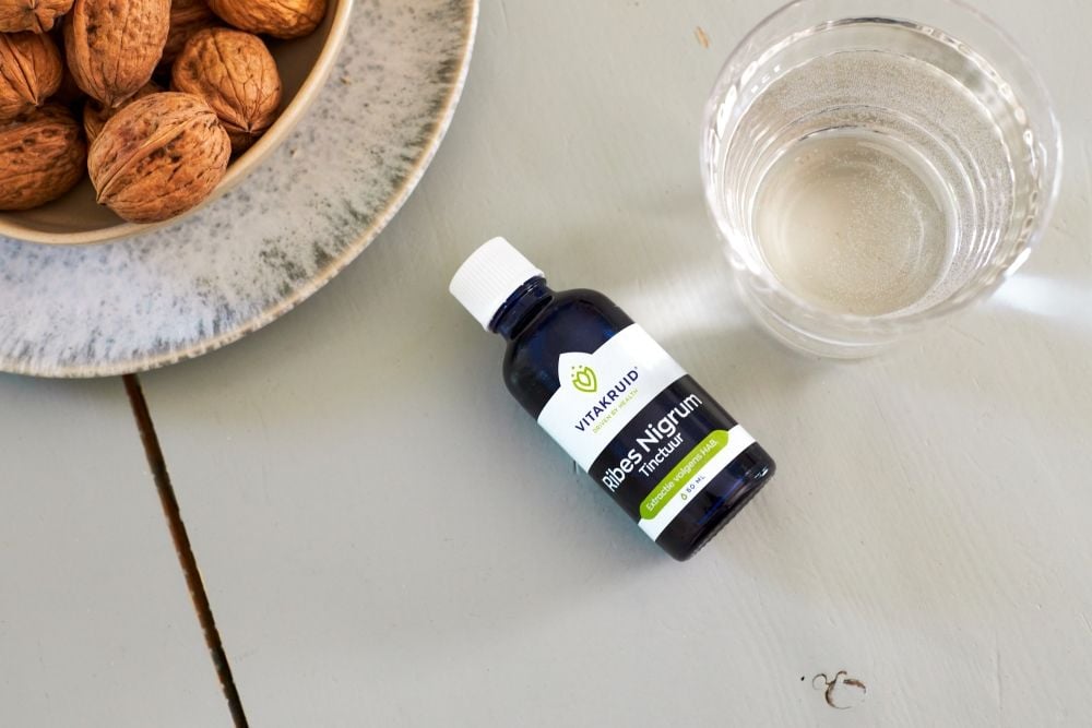 Zwarte bes extract, het paradepaardje onder de bessen