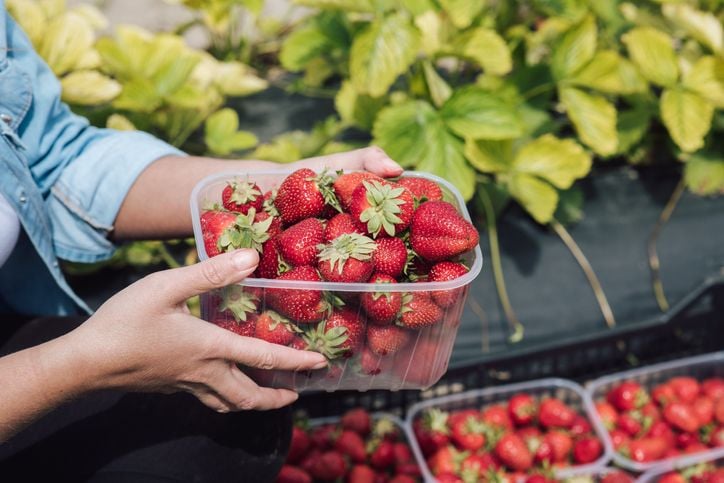 Seizoensfruit: waarom geen zomerfruit in de winter?