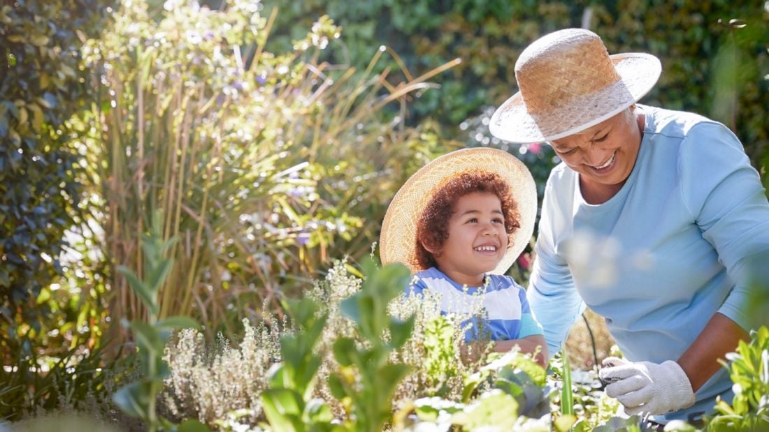 Vitamine K: nuttig voor volwassenen en ouderen?