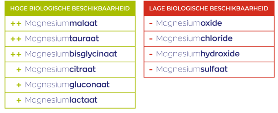 Magnesium 200 Complex®