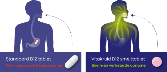 B12 5000 mcg Methylcobalamine