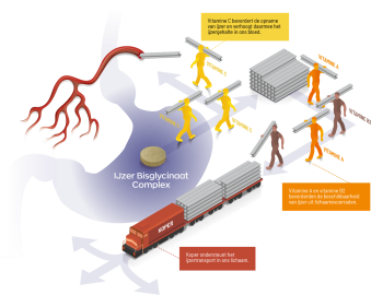 IJzer Bisglycinaat Complex
