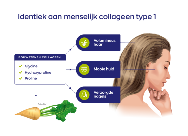 Vegan Collageen Booster