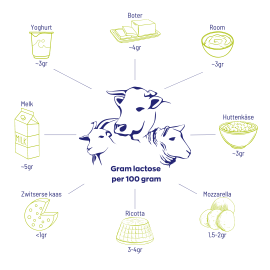 Lactase OptiFerm® 3.000 FCC