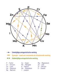 Mineralen Complex
