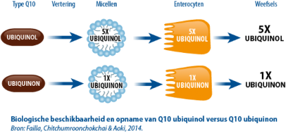 Q10 Ubiquinol 50 mg & Omega-3 325 mg