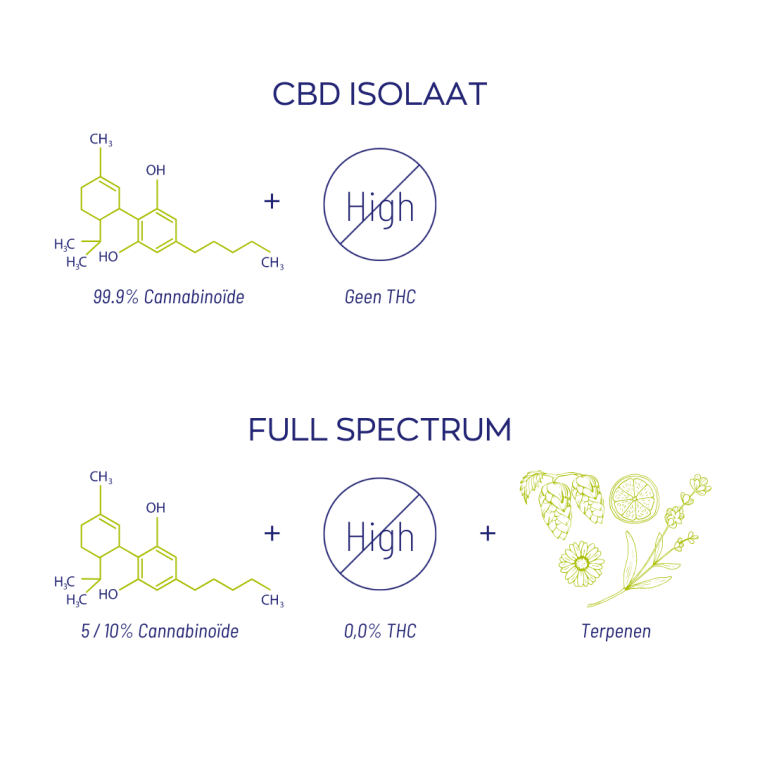 CBD Olie 10% Full spectrum