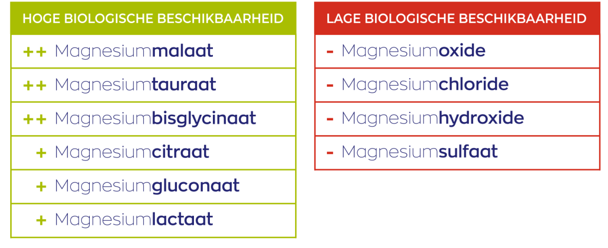 Magnesium Malaat met P-5-P