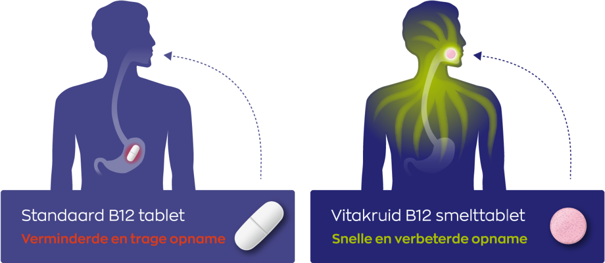 B12 Forte Plus met P-5-P