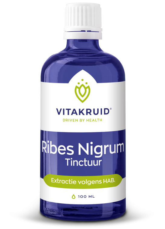 Ribes Nigrum tinctuur