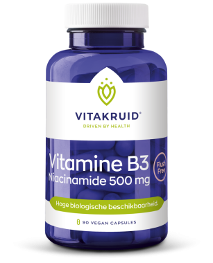 Vitamine B3 Niacinamide 500 mg