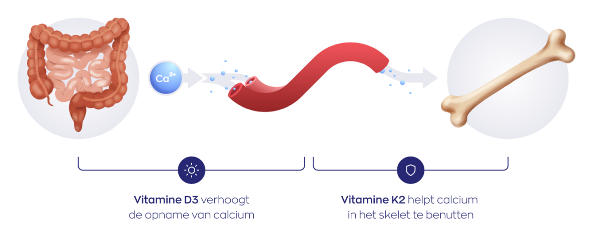 Vitamine D3 & K2 tabletten