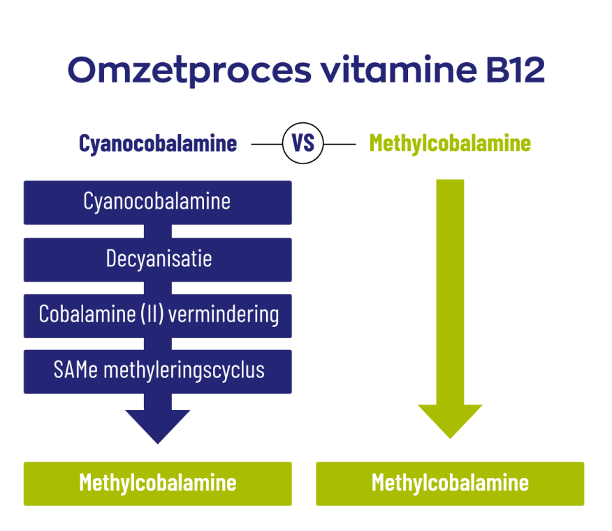 B12 1000 mcg Methylcobalamine