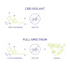 CBD Olie 10% Full spectrum