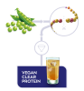 Vegan Clear Protein