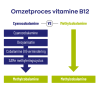 B12 Combi 10.000® met folaat