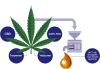 CBD Olie 10% Full spectrum