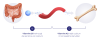Vitamine D3 & K2 tabletten