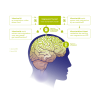 RelaxComplex®