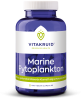 Marine Fytoplankton