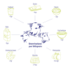 Lactase OptiFerm® 3.000 FCC