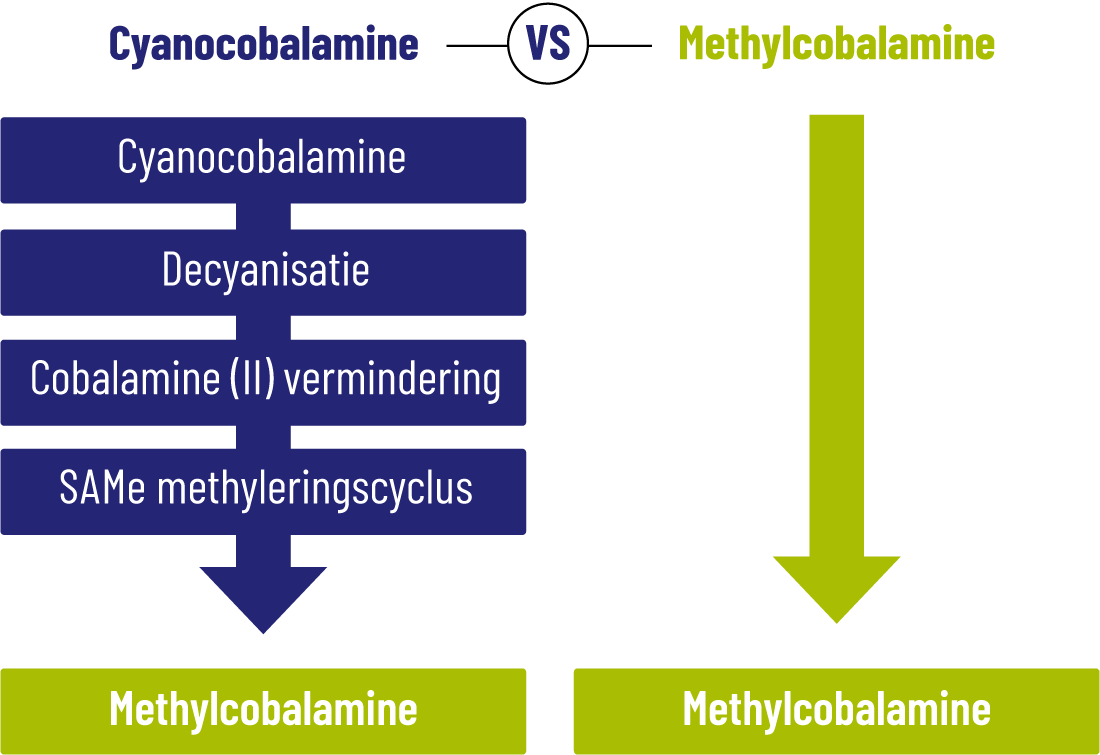 Omzetproces vitamine B12