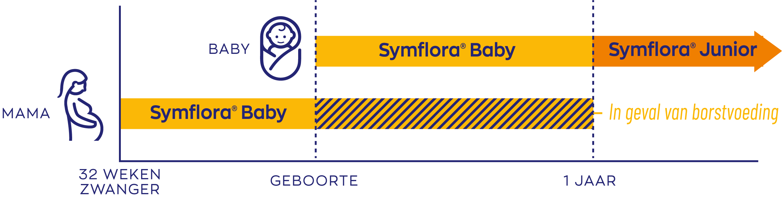 Symflora Junior grafiek