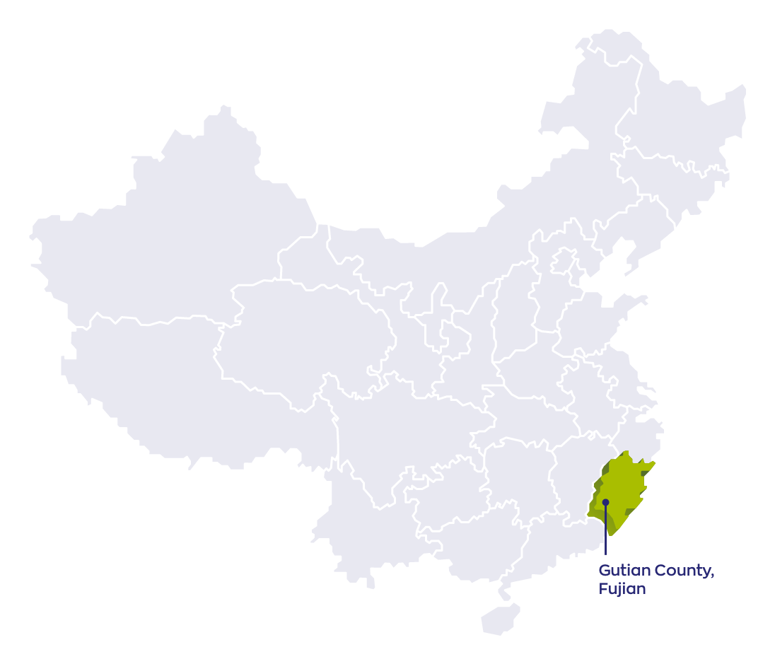 Herkomst Lion's Mane