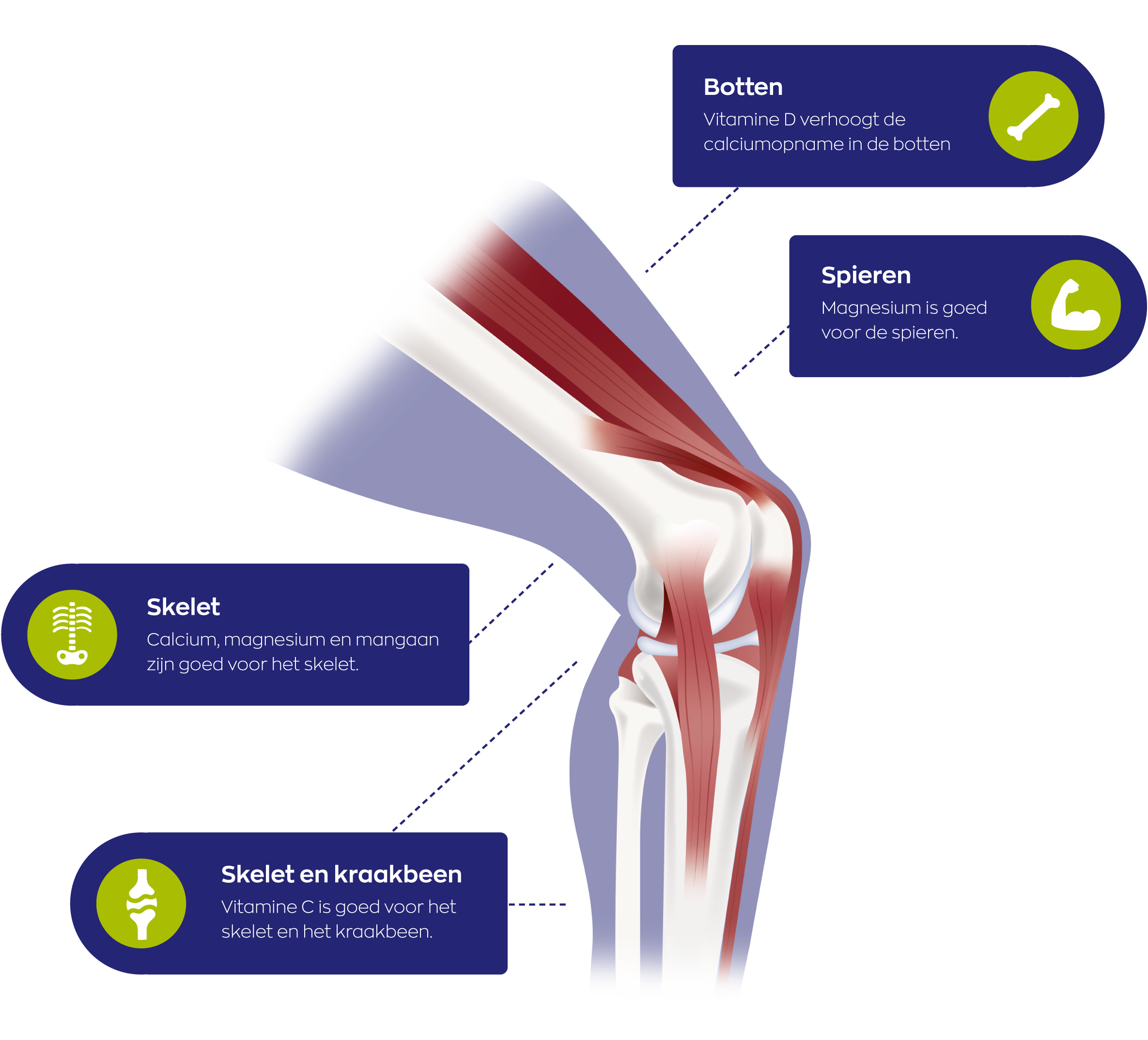 Atrimove infographic