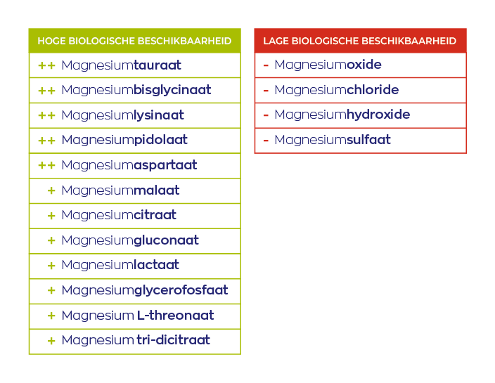 Biologische beschikbaarheid magnesiumvormen