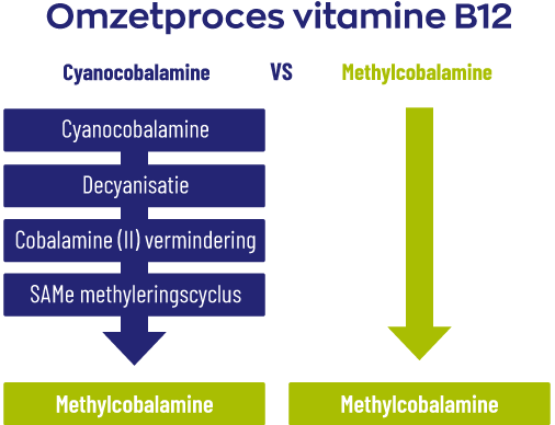 Hoe herken je het beste vitamine B12 supplement?