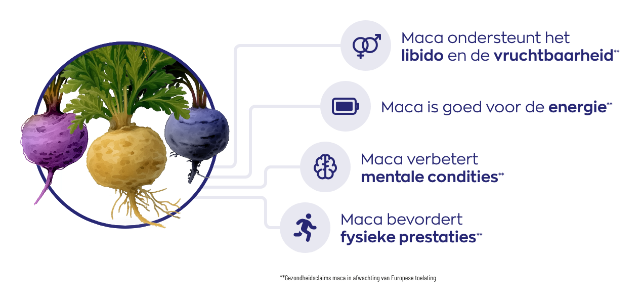 Visual Maca3 Complex