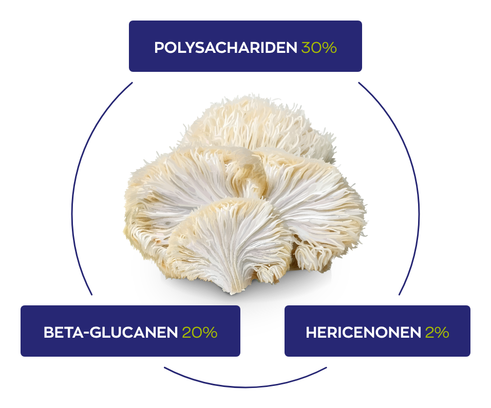 Standaardisaties Lion's Mane