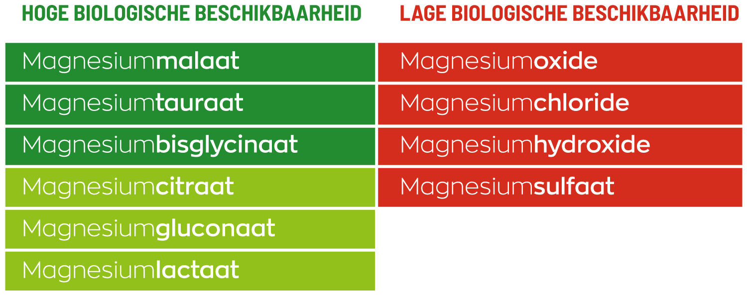 olie Of anders Spectaculair Magnesium Complex: waarom vormen combineren? – Vitakruid.nl - Vitakruid.nl