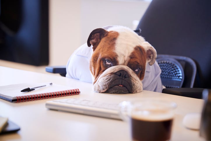 Wat is stress precies? Zo herken je het