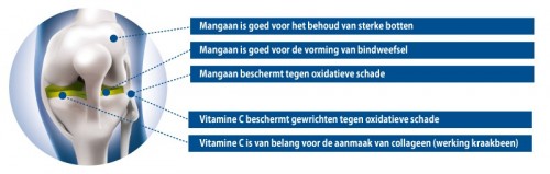 Infographic Mangaan Vitamine C