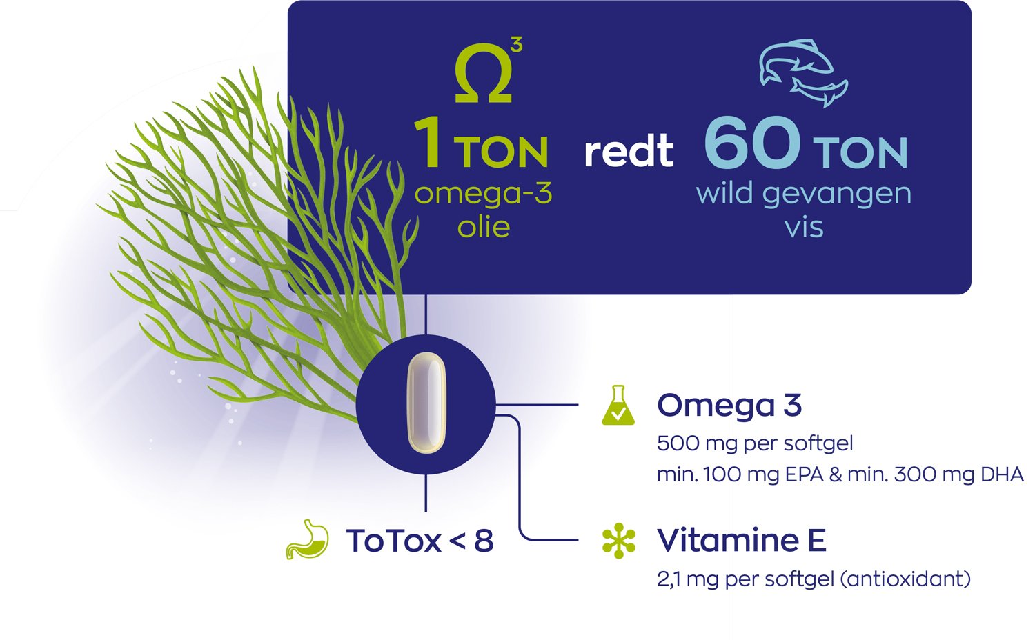 Omega-3