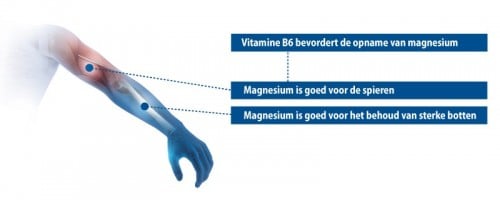 Infographic Magnesium B6