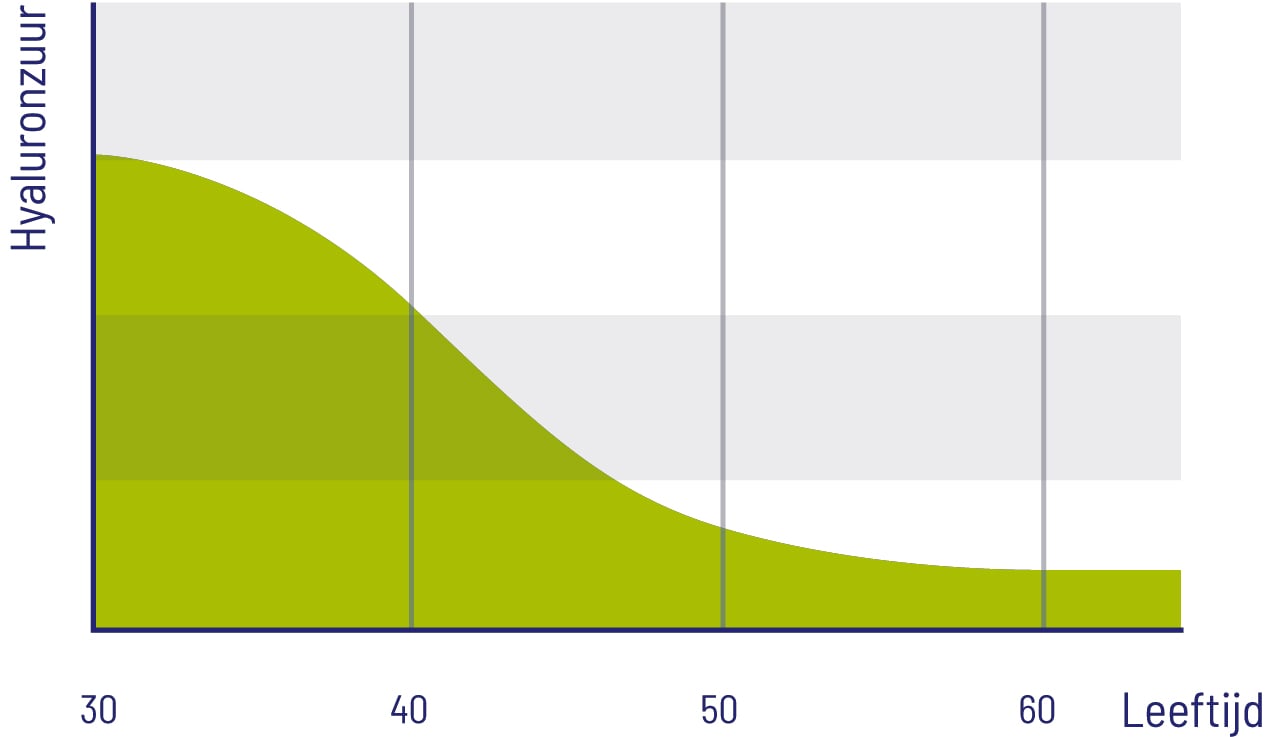 Hyaluronzuur in het lichaam