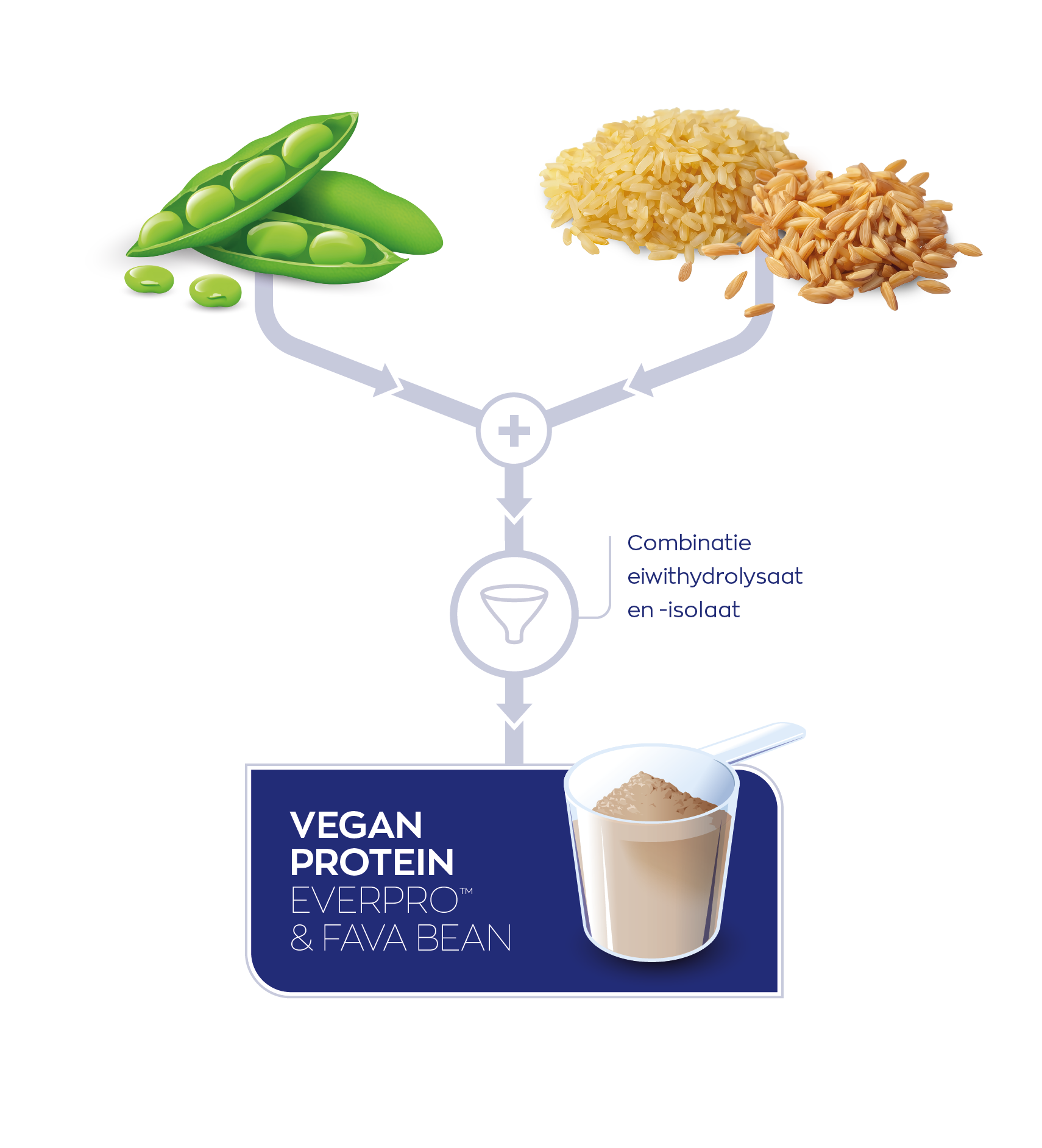 Visual Vegan protein