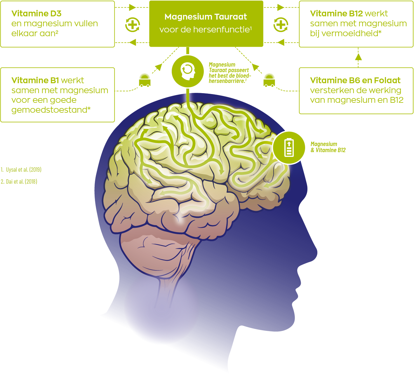 RelaxComplex infographic