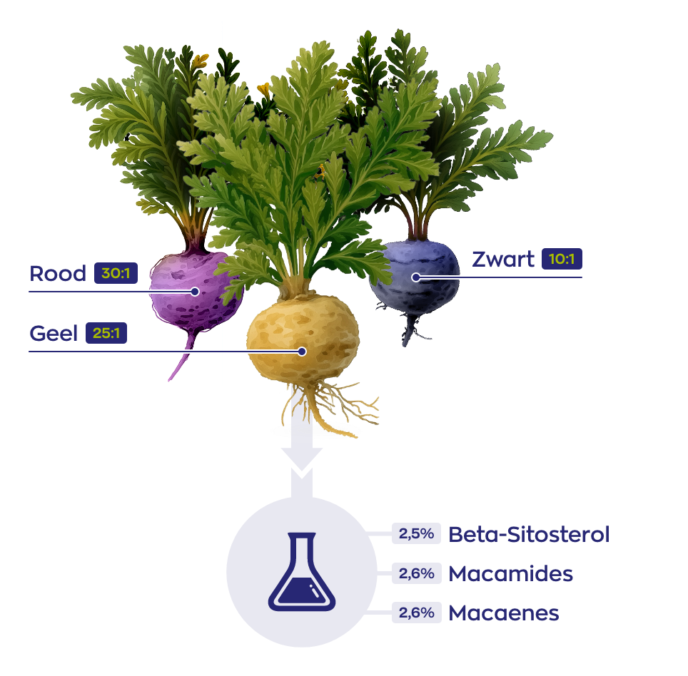 Visual Maca soorten