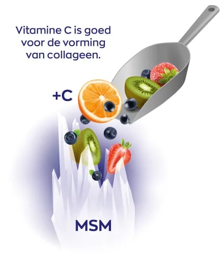 Infographic MSM 1000 mg