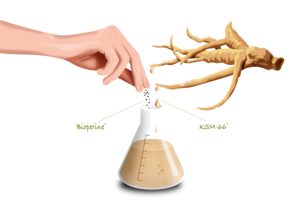 Infographic Ashwagandha