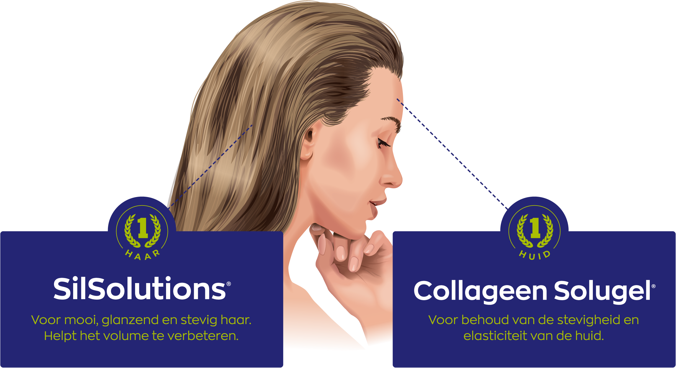SilSolutions en Collageen Solugel
