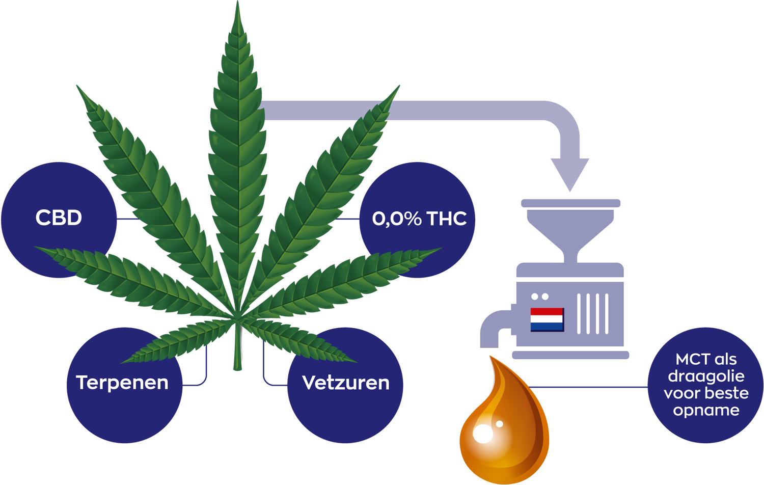 CBD Visual