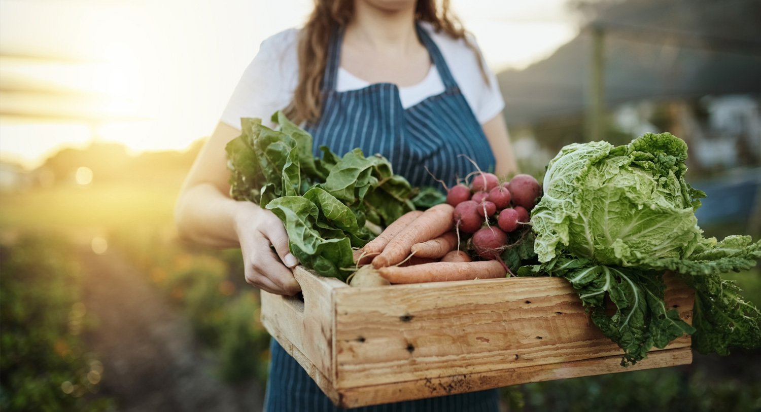 De afname van vruchtbare grond en de invloed op onze voedselproductie